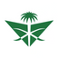 沙特阿拉伯航空 logo