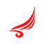 金鹏航空 logo